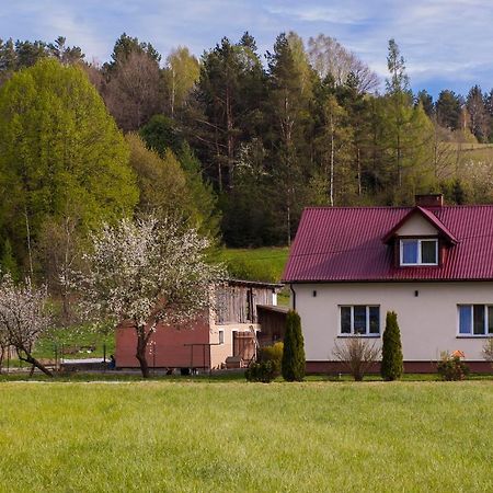 U Jadzi Pogorze Przemyskie Bircza Exterior foto