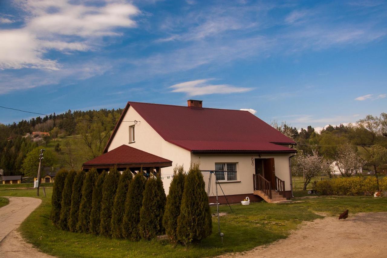 U Jadzi Pogorze Przemyskie Bircza Exterior foto