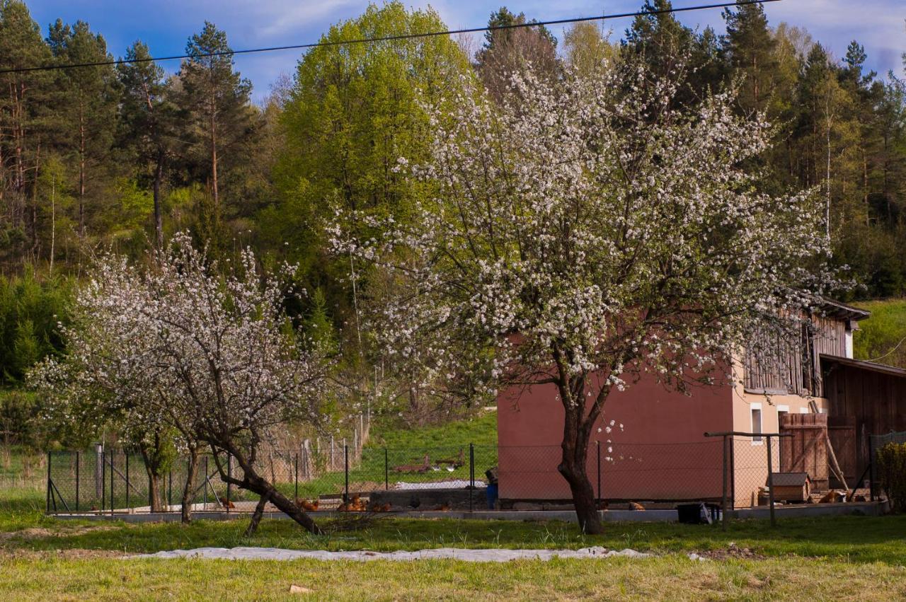 U Jadzi Pogorze Przemyskie Bircza Exterior foto